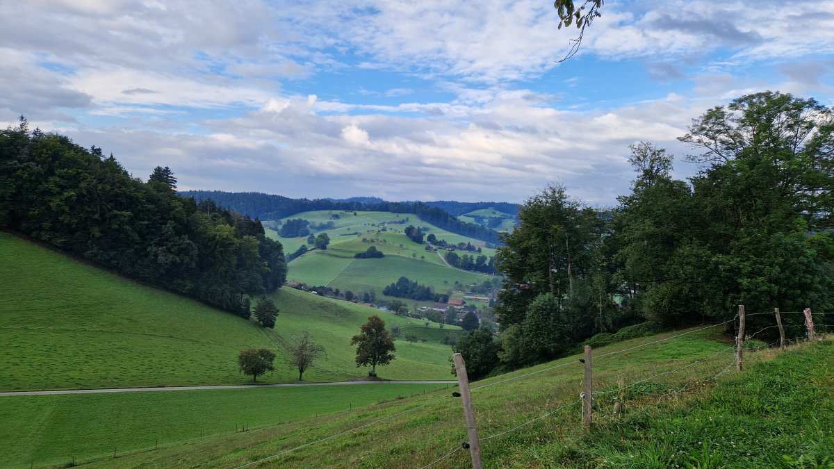 Vivez l’aventure nomade autrement : Nos teardrops s’associent à PlaceToBee ! 