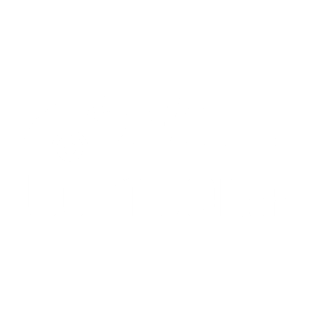VaudCamper